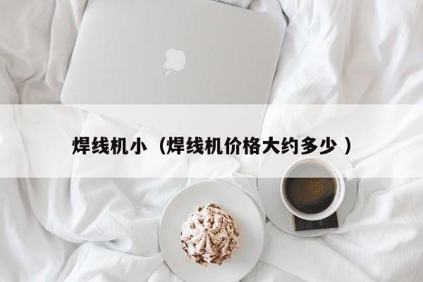 焊线机小（焊线机价格大约多少 ）